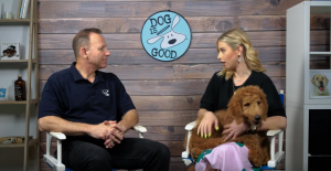 dogisgood-netsuite