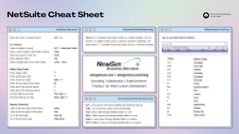 What Are the Different NetSuite User License Types? (2025 Guide ...