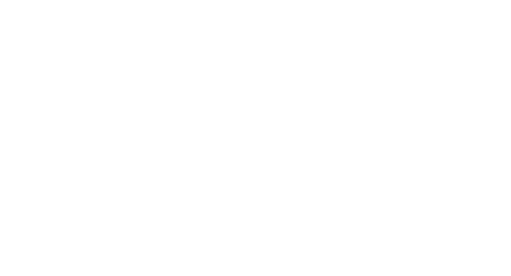 Oracle NetSuite Partner of the Year