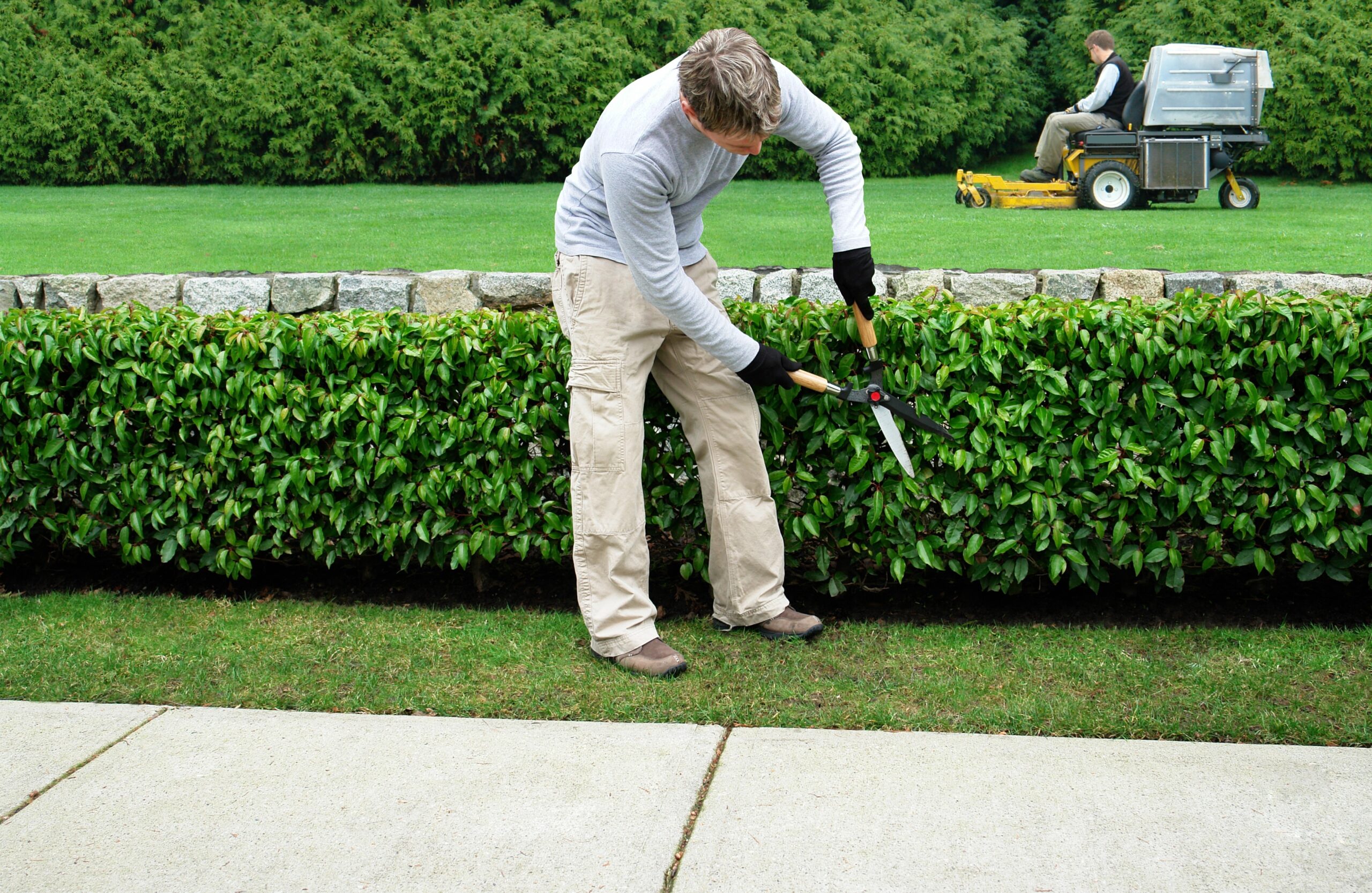 NetSuite for landscaping companies