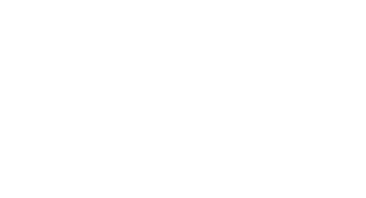 NetSuite Partner of the Year 2025